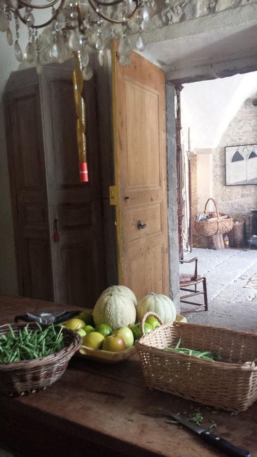 Chateau de Fontblachère Saint-Lager-Bressac Extérieur photo