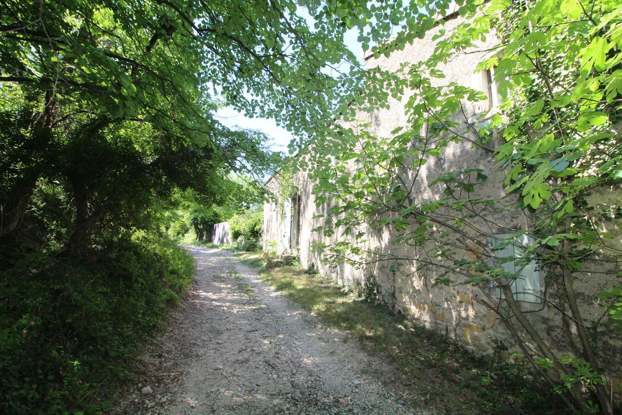 Chateau de Fontblachère Saint-Lager-Bressac Extérieur photo